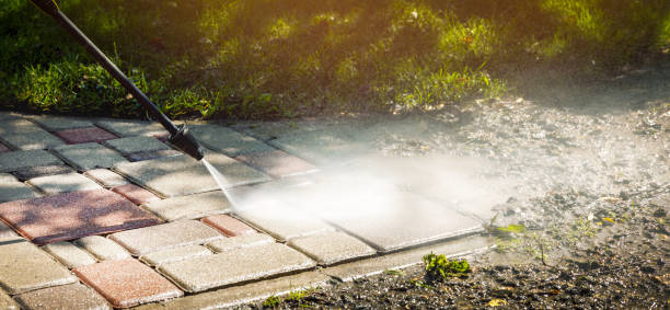 Best Gutter Cleaning  in Fulda, MN